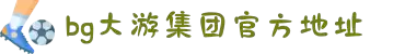 BG大游(集团)唯一官方网站